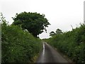 More hedgerows blocking the view