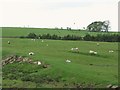 Pastures south of Reaygarth