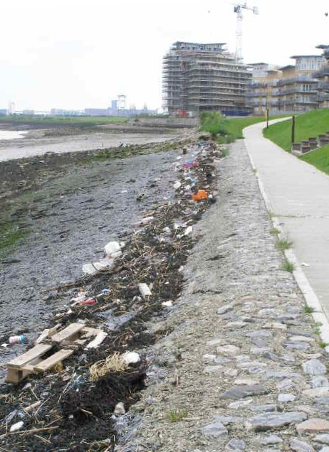 Riverside Walk Flotsam at Greenhithe