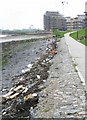 Riverside Walk Flotsam at Greenhithe