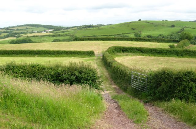 Lane leading into fields