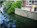 Waste in the Hogsmill