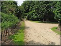 Road past All Saints Church, Hilborough, Norfolk