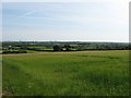 Fields with views to the oil refineries