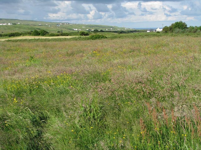 Meadow With Atlantic Ocean In The © C Michael Hogan Cc By Sa20