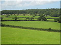 Farmland at Nancassick