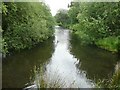 Millpond, Royd Edge Clough, Meltham