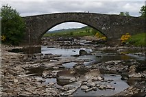 NN2939 : Bridge of Orchy / Drochaid Urchaidh by Tiger