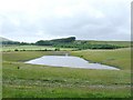 Pool on former open cast near Cwmtwrch