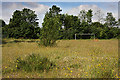 Stanley Road Playing Fields