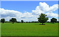 Grass land east of Toutley