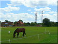 Paddock land at Middlegreen