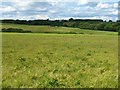 Fields at Whitecloserigg