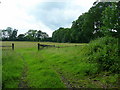 Grass land west of Shere Road, Ewhurst