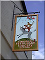 Clarendon Street Veterinary Surgery - sign