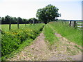 Track opposite road to Wick Farm