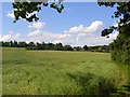 Farmland, Bisham