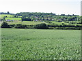 View across the Elham Valley