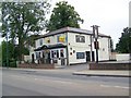 The Brass Monkey, Shirley