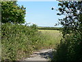 Across fields at Flemingston to Cardiff Airport