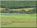 ST0270 : River Thaw, Flemingston Moor by Mick Lobb