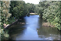 River Maun at Kings Mill