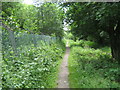 Footpath, River Eden