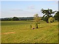 Fields, Cookham