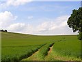 Farmland near Axford