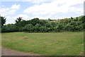 Orchards, south of Stone Street.