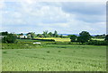 2008 : Wheatfield near Hoopers Pool