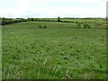 Tullaghans Townland