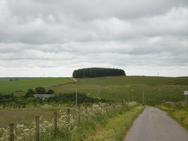 Whitestone Hill