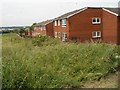 Houses in Portobello