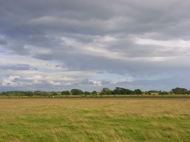 Burgh Marsh