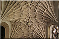 Cullompton: fan vaulting in St Andrew?s church