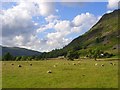 NY3915 : Pasture, Patterdale by Andrew Smith