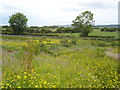 Ballyleckan near Bushmills