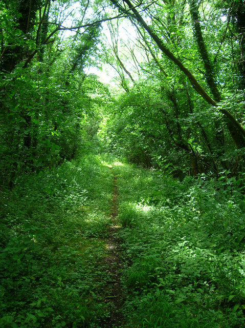 Former Ardingly Branch Line © Simon Carey cc-by-sa/2.0 :: Geograph ...