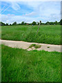 Footpath to Ardingly