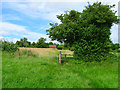 Footpath to Ardingly