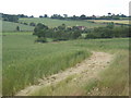 Fields sloping down to Park Corner, looking north