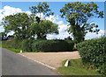 Laneside trees and driveway near Dallinghoo