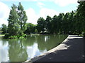 Pond in Robertson Park