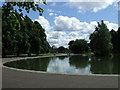 Pond in Robertson Park