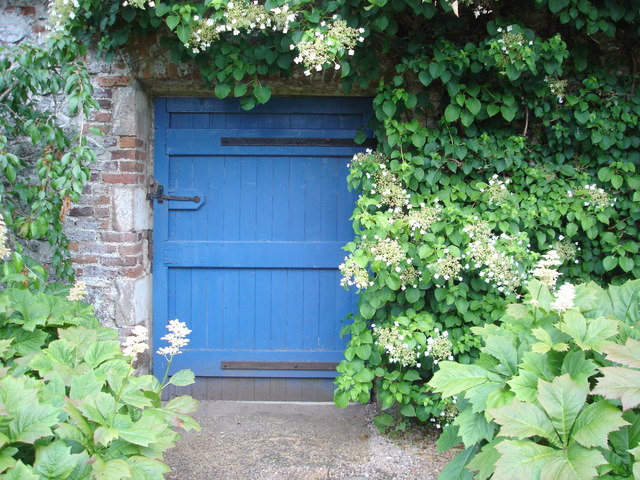 Door with hydrangea