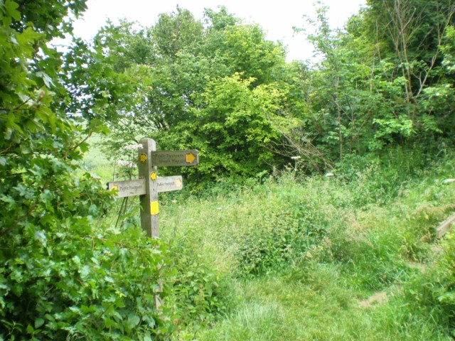 Icknield Way Trail crossing Devil's Ditch