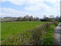 View north of Willetts Lane