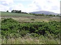 Drumnaheigh Townland