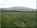 D0840 : Carnsampson Townland by Kenneth  Allen